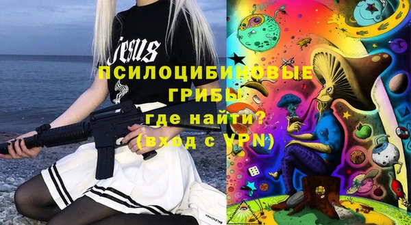 дживик Семикаракорск