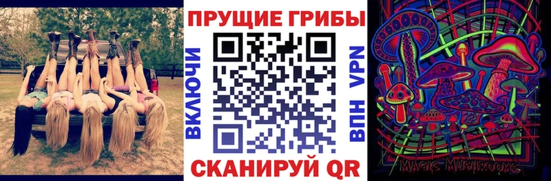 Псилоцибиновые грибы прущие грибы  наркотики  Дербент 
