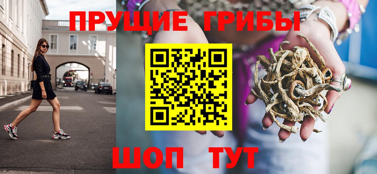 Дербент  Галлюциногенные грибы MAGIC MUSHROOMS  Вход с VPN  Псилоцибиновые грибы мухоморы 