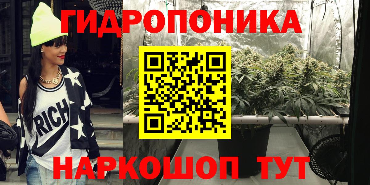 Конопля индика Дербент